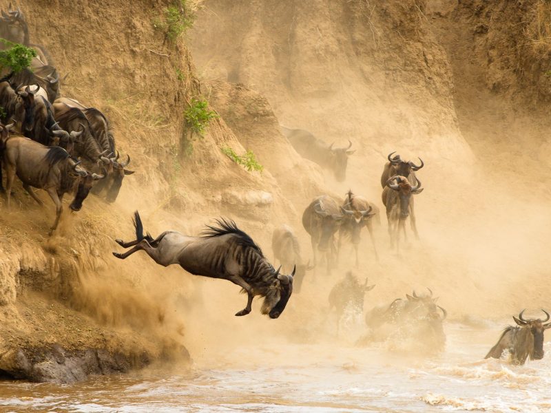kenya-safari-01